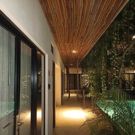 Increible Ph Con Rooftop Y Plunge Pool Privada