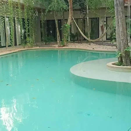 Increible Ph Con Rooftop Y Plunge Pool Privada Tulum