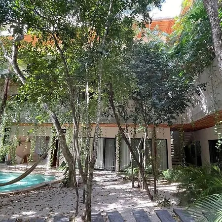 Increible Ph Con Rooftop Y Plunge Pool Privada Apartment