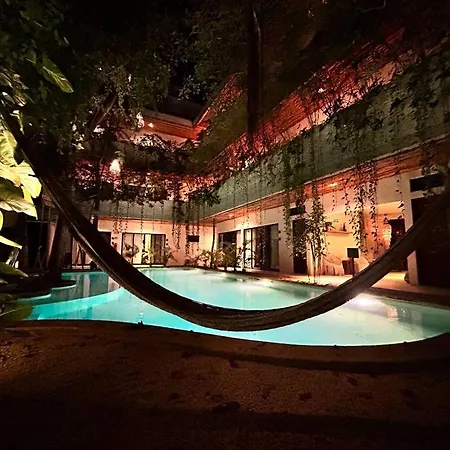 Increible Ph Con Rooftop Y Plunge Pool Privada *