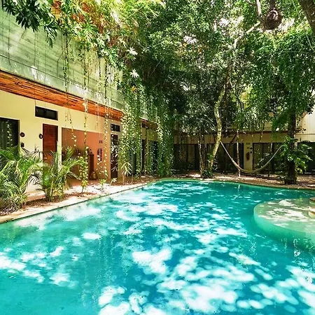 Increible Ph Con Rooftop Y Plunge Pool Privada