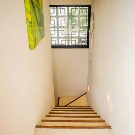 Apartment Ph5 Botanic, Luxury In Tulums Urban Jungle