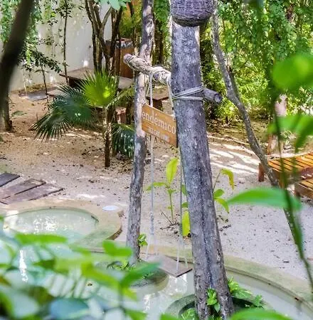 Ph5 Botanic, Luxury In Tulums Urban Jungle Tulum