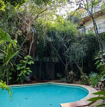 Ph5 Botanic, Luxury In Tulums Urban Jungle Apartment