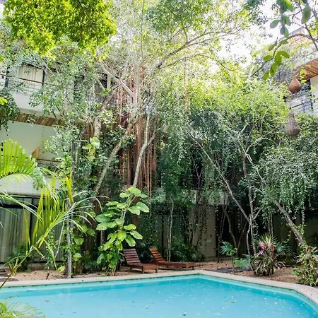 Ph5 Botanic, Luxury In Tulums Urban Jungle