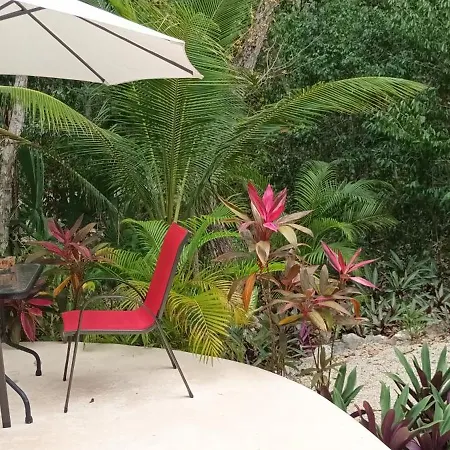 Ixchel Private Pool Apartamento *