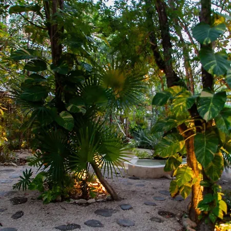 Casa Palalma 2-levels 3-bedrooms Private Pool Apartment
