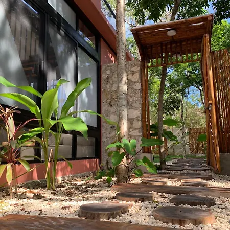 Casa Calu Cozy & Confortable Jungle House With Pooll *