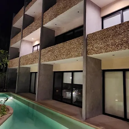 Con Terraza, Pileta Y Bano Completo Apartment Tulum