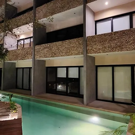 Con Terraza, Pileta Y Bano Completo Apartment Tulum