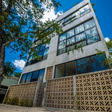 Apartment Ka'am Depto 6