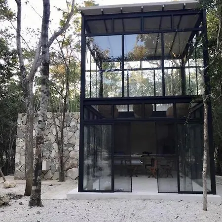 Private Cenote 18 Guests Luxury Jungle Holiday home