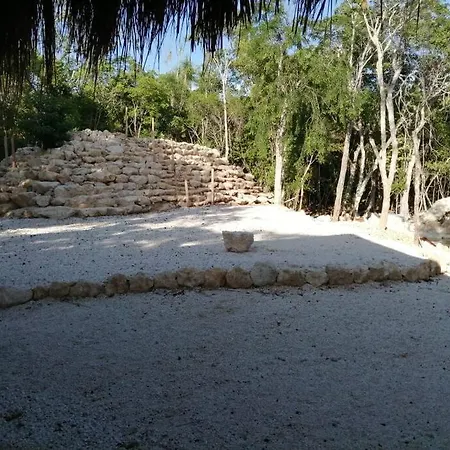 Private Cenote 18 Guests Luxury Jungle Holiday home