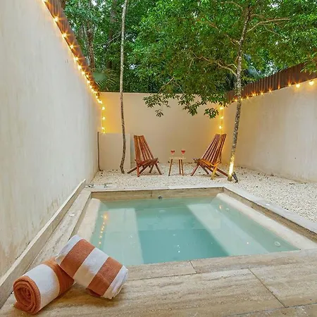 Live The Experience With Tulum!