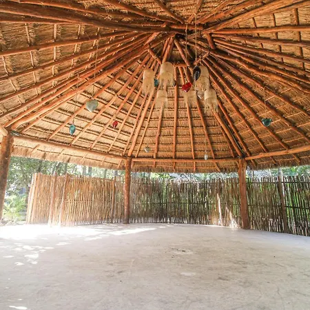 Mayan Apartment