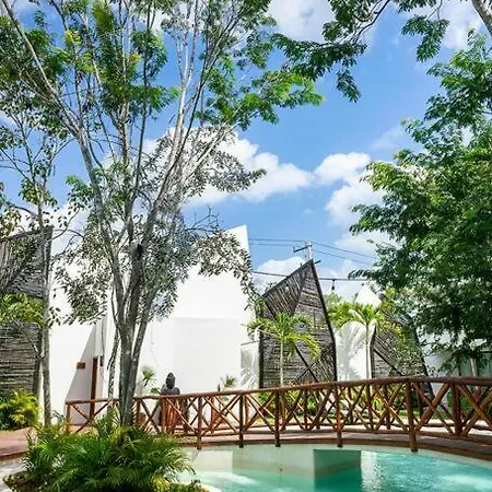Dk39 Vpn Access *stunning Sunset *pool *gym *yoga Apartment Tulum