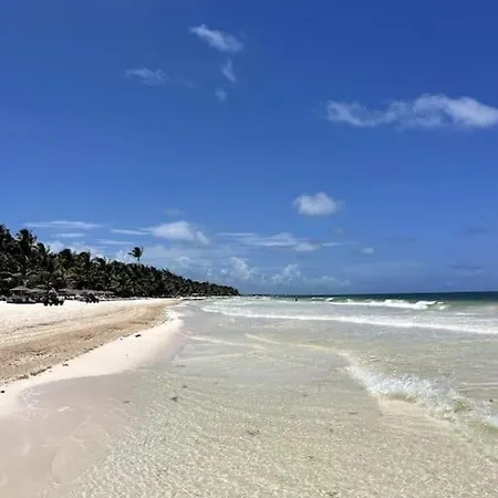 Jungle Eco-luxury Tulum
