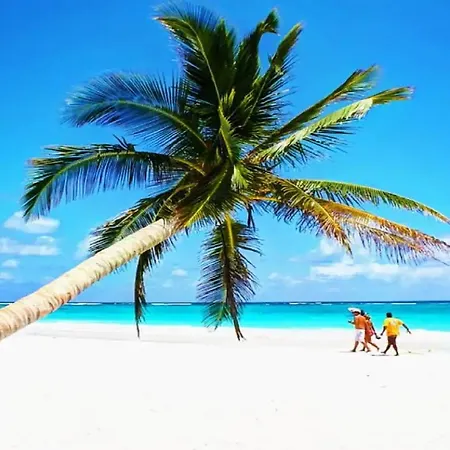 Apartment Spacious Ph. Amazing Roof-top Pool.near Beach/town Tulum