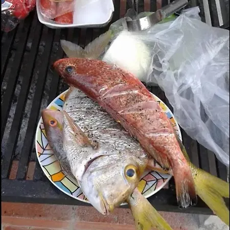 La Mejor Vida Tulum