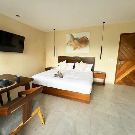 Studio Deluxe, Piscina Privada, Roof Top, Piscina Infinita, Gym * Tulum