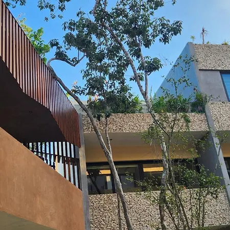 Penthouse Con Terraza Y Pileta * Tulum