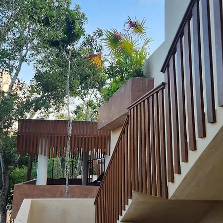 Penthouse Con Terraza Y Pileta Tulum