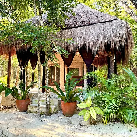 Glamping Bunga Lotus Camping *