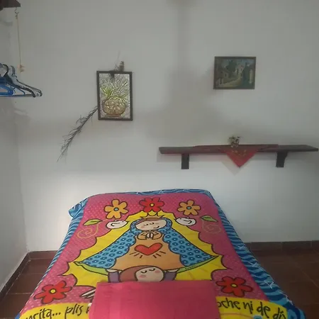 La Bella Vida Homestay *