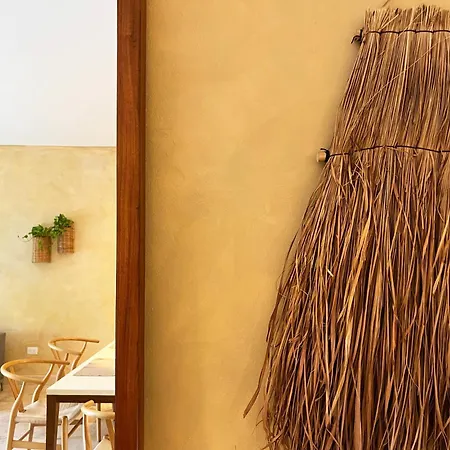 Beguest Paramar Terra * Tulum
