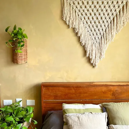 Beguest Paramar Terra *