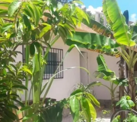 La Mejor Vida Homestay Tulum