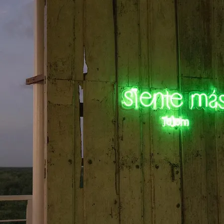 Hotel Siente & Cenote Club