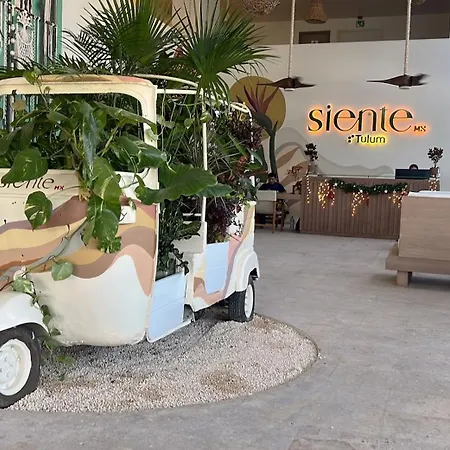 Siente & Cenote Club Hotel