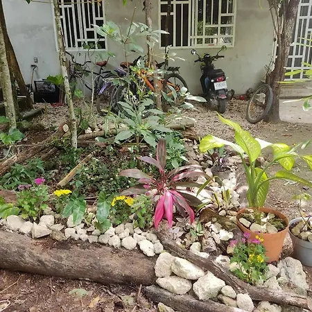 Apartment Linda Casa Rodeada De Naturaleza. Tranquila.