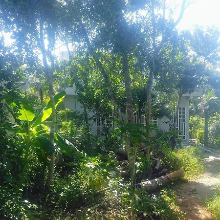 Linda Casa Rodeada De Naturaleza. Tranquila. Tulum