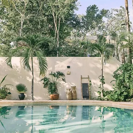 Kuotoch Jungle Retreat-chef & Yacht *