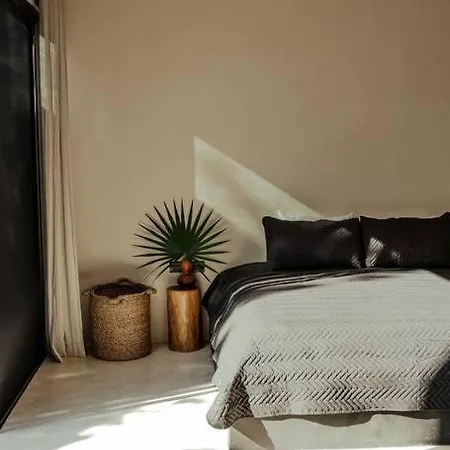 Oasis 4 Bedroom In La Veleta Tulum
