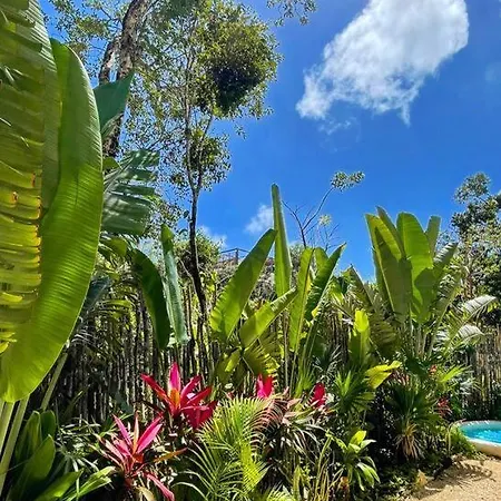 Apartment Jungle Stylish 2bedroom W Pool *