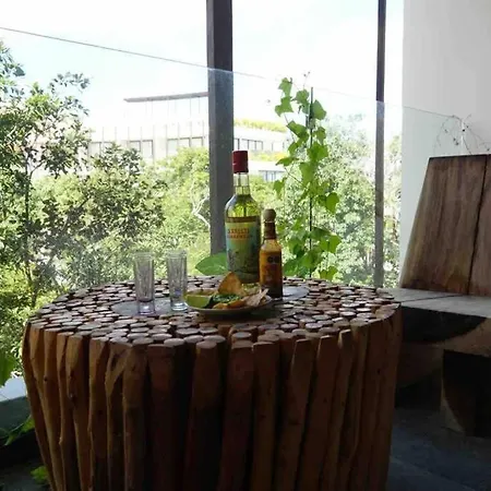 Mistiq Jungle Tulum