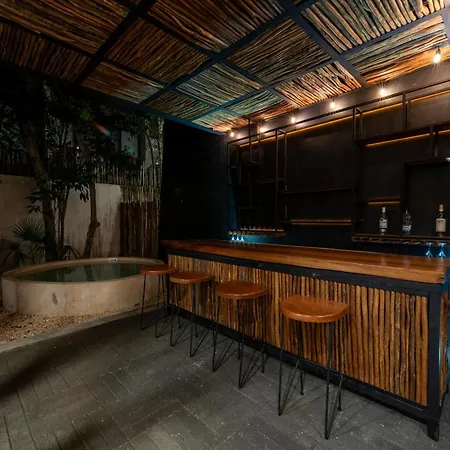 Private Mansion In Aldea Zama Holiday home