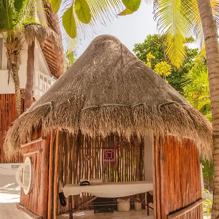 12br Beachfront Private With Infinity Pool By Solmar Tulum