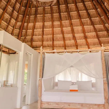 12br Beachfront Private With Infinity Pool By Solmar