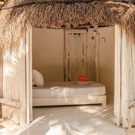 12br Beachfront Private With Infinity Pool By Solmar