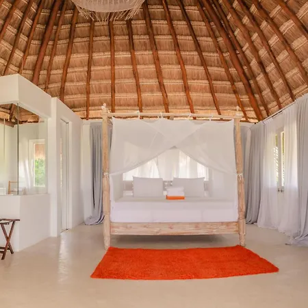 12br Beachfront Private With Infinity Pool By Solmar *