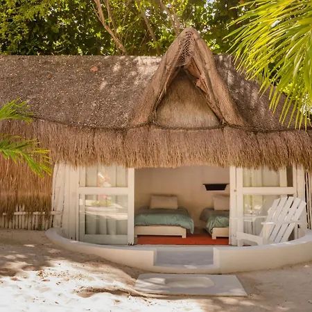 12br Beachfront Private With Infinity Pool By Solmar *