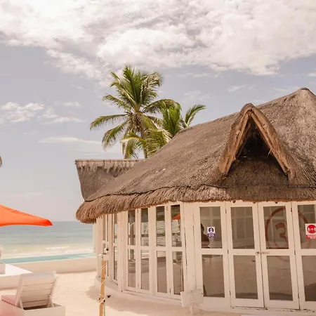 12br Beachfront Private With Infinity Pool By Solmar Tulum