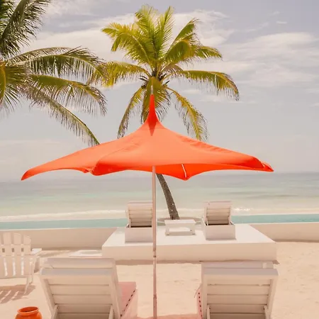 12br Beachfront Private With Infinity Pool By Solmar Tulum