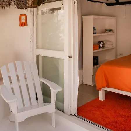 12br Beachfront Private With Infinity Pool By Solmar Villa *