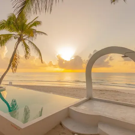 12br Beachfront Private With Infinity Pool By Solmar * Tulum