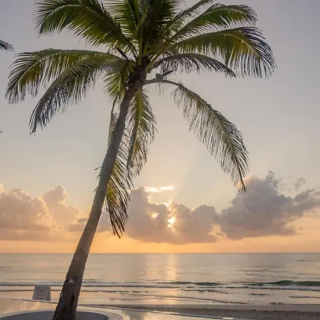 12br Beachfront Private With Infinity Pool By Solmar * Tulum